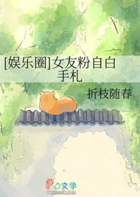 [韩娱同人] 女友粉自白手札
